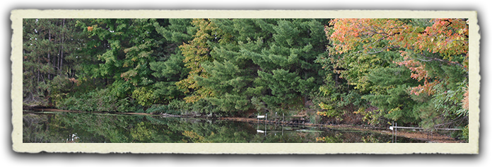 Facilities & Parks Trees of water