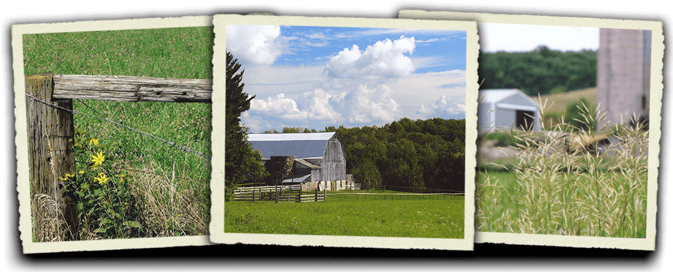 Barns and Fields and Fence