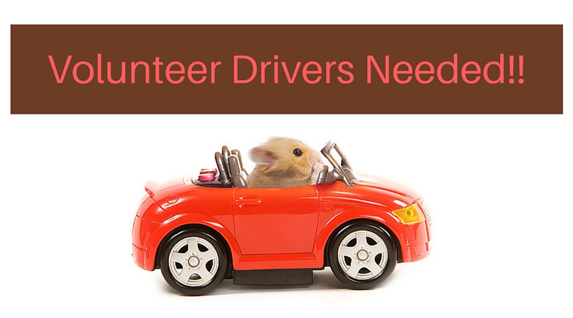 Volunteer-Drivers-Needed